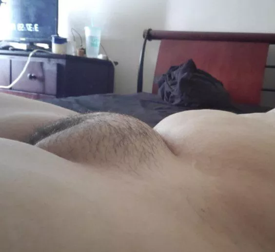 How do y’all feel about fat hairy pussies