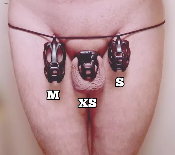 I saw a similar picture a few days ago and thought I could recreate it with the cages that I still have.