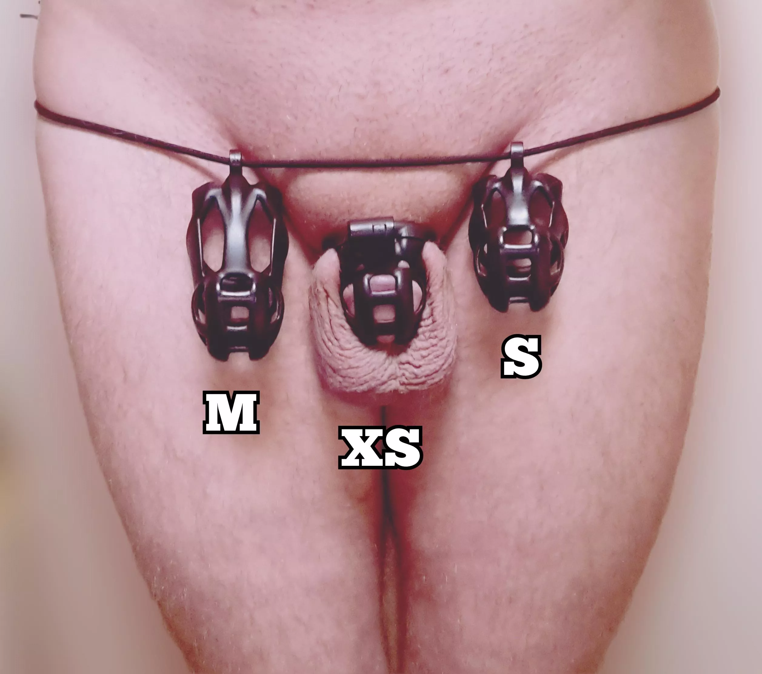 I saw a similar picture a few days ago and thought I could recreate it with the cages that I still have.