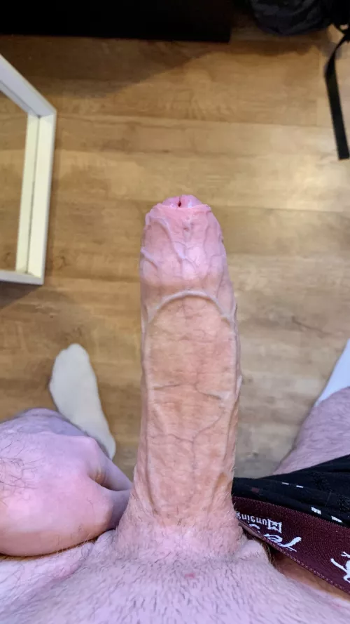 I’m gonna need you to trace the veins with your tongue