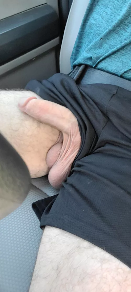 let them out for the drive