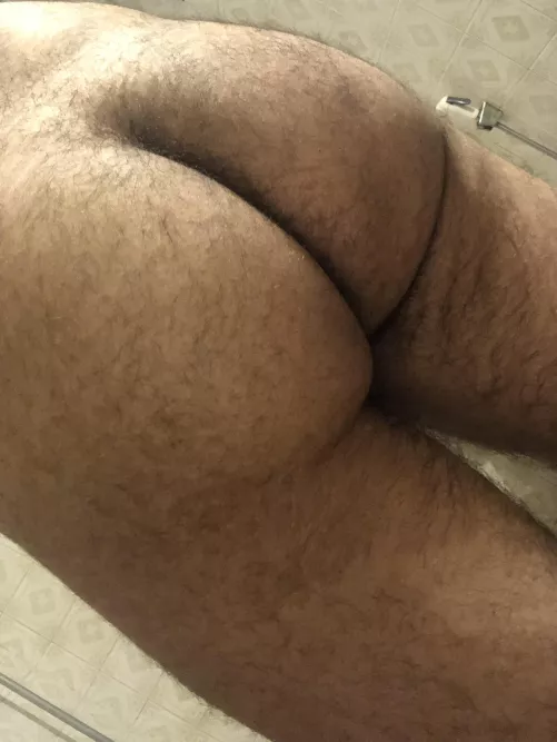 Looking for bbc or bwc to serve on snap qa_qa6056