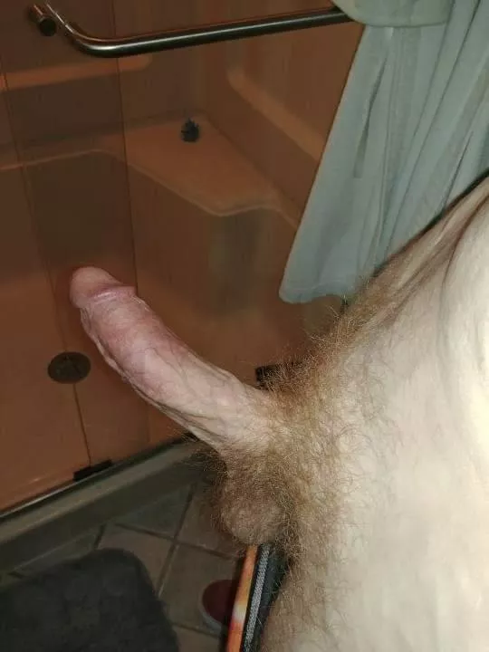 Now now boys, sharing is caring, you may all have your turn.