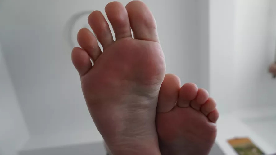 Perfect, aren't they?