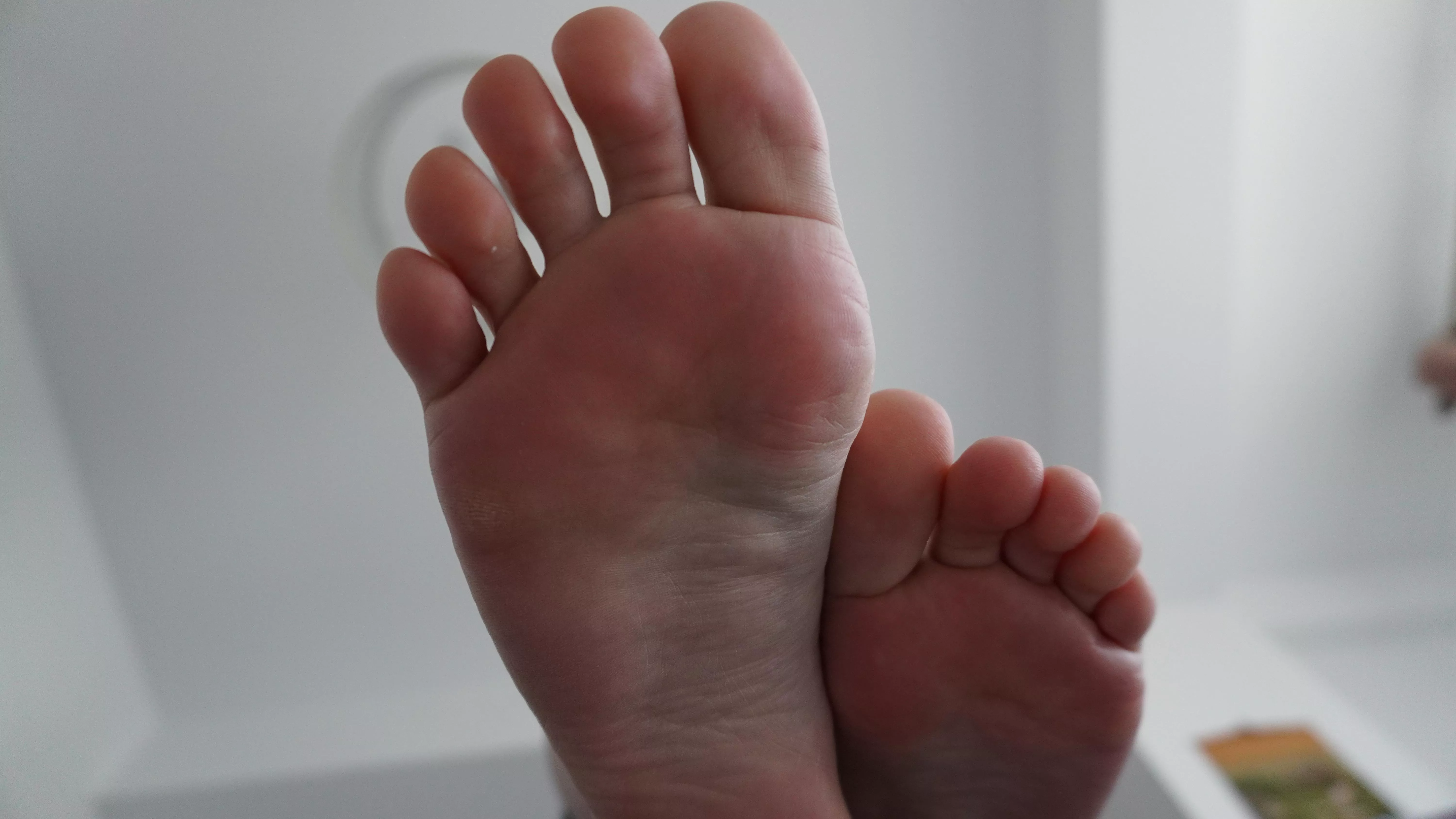 Perfect, aren't they?