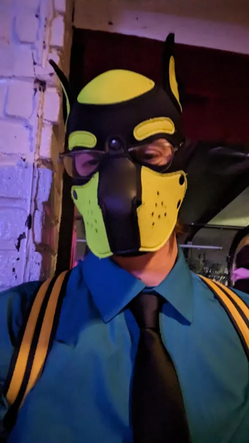pupping out at a furry event