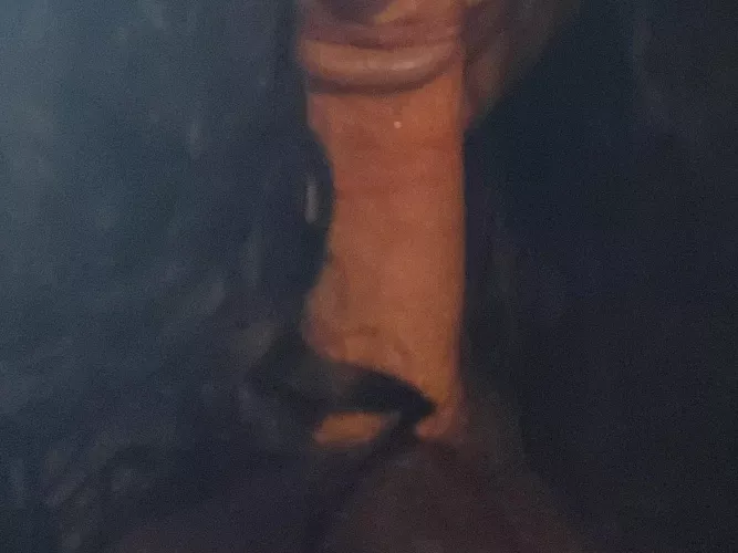 spit, swallow, or ride ladies