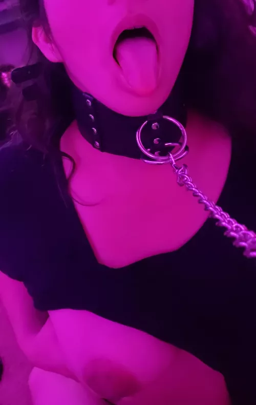 There's just something special about trying on a new collar. On my knees and waiting. [F]