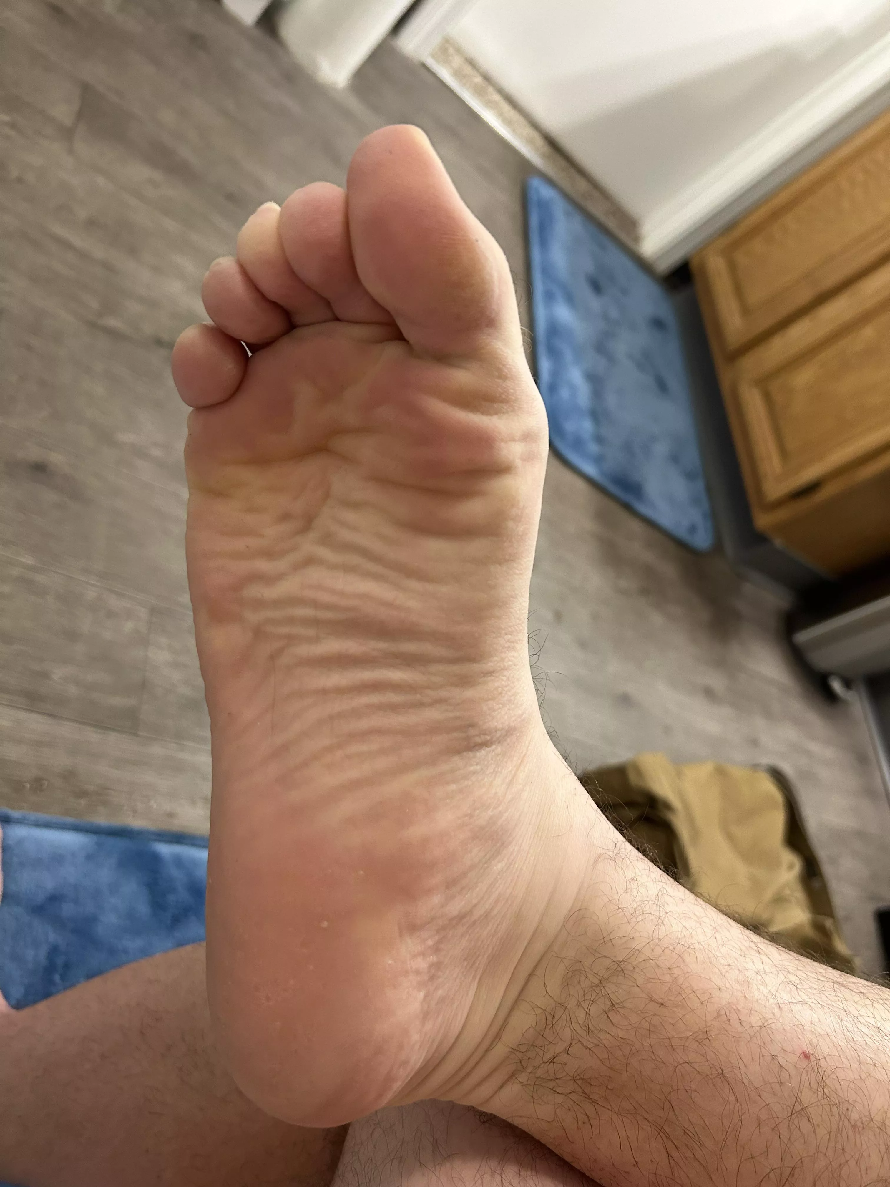 They could really use a glazing. Cum, shoot your shot!