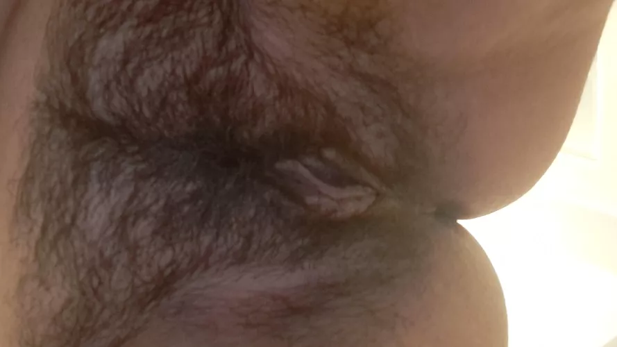 What you see moments before I sit on your face