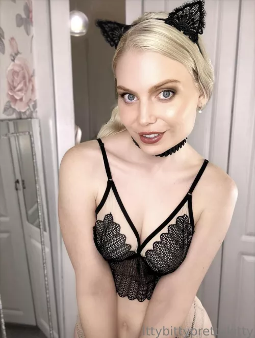 What’s that? You’re going to be a good pet for Mommy Kitty, that’s what I like to hear !