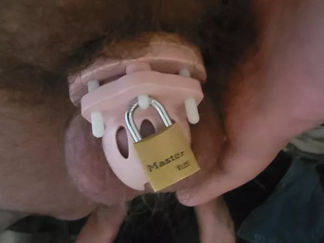 work cage on since we have metal detectors.