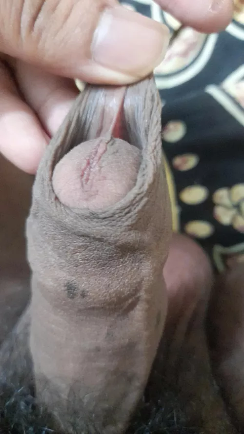 anyone wanna play with the skin ?