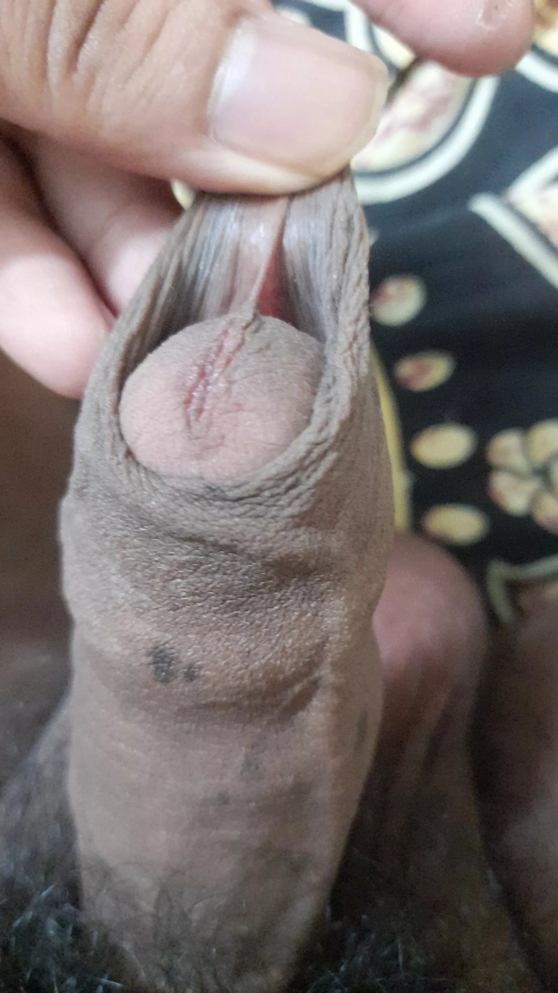 anyone wanna play with the skin ?