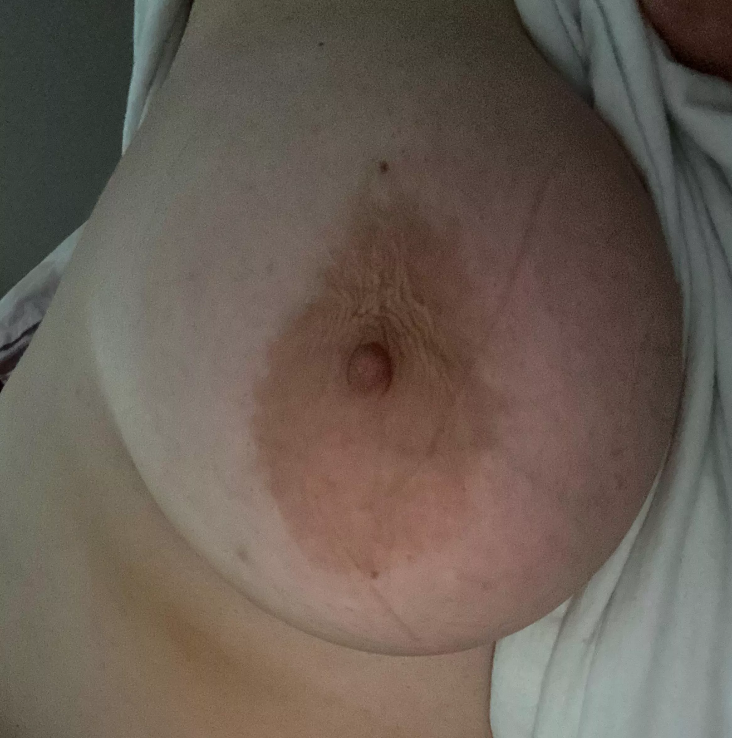 Anyone wants to play with my submissive and bisexual body? 🔥💛