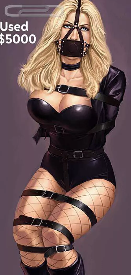 Black Canary For Sale