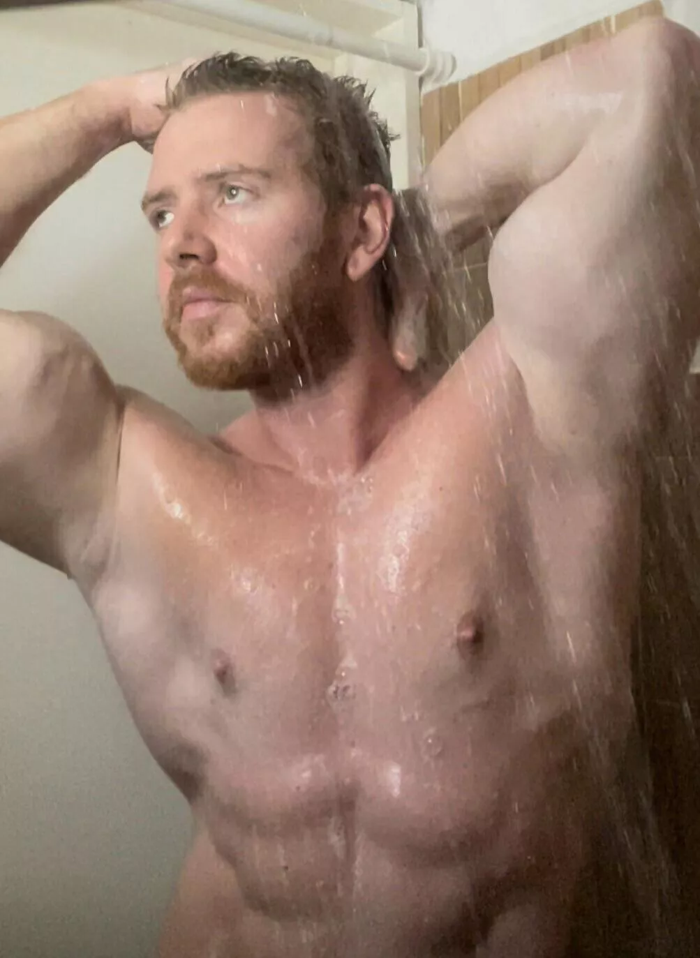 Both of my pits needs need sniffed and 👅 licked