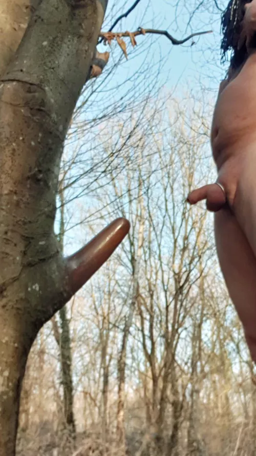 By chance while walking in the woods ... this discovery: impossible to compete with it