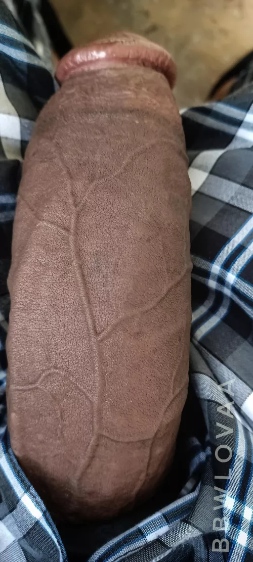 Can i please stuff your tight hole 🕳️