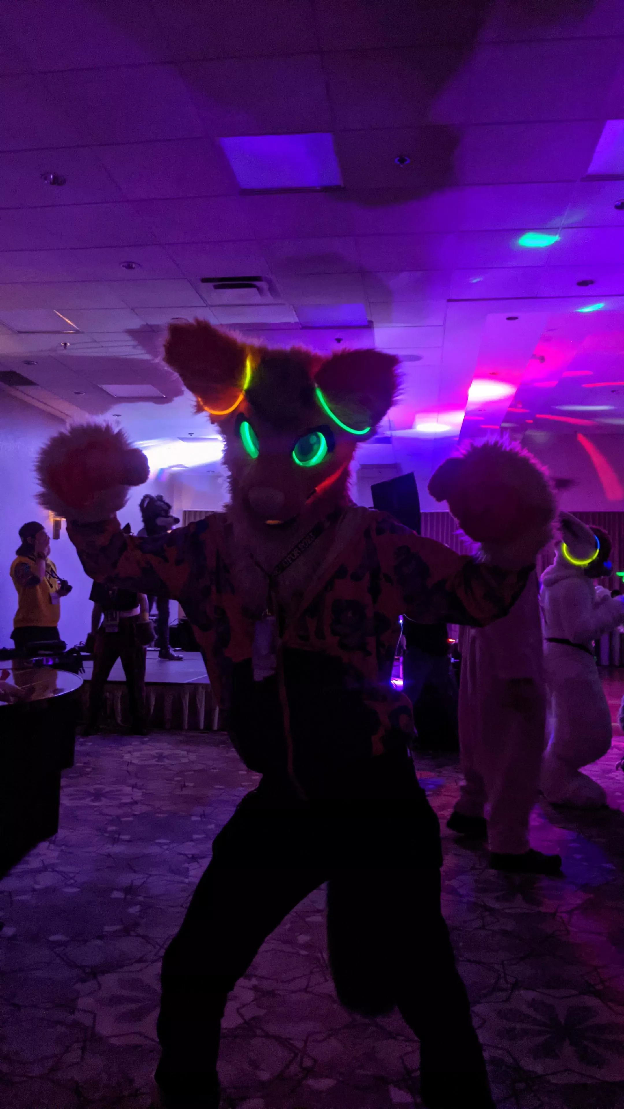 fursuit raves go hard ✊ (@Fenix_Pony on twitter)