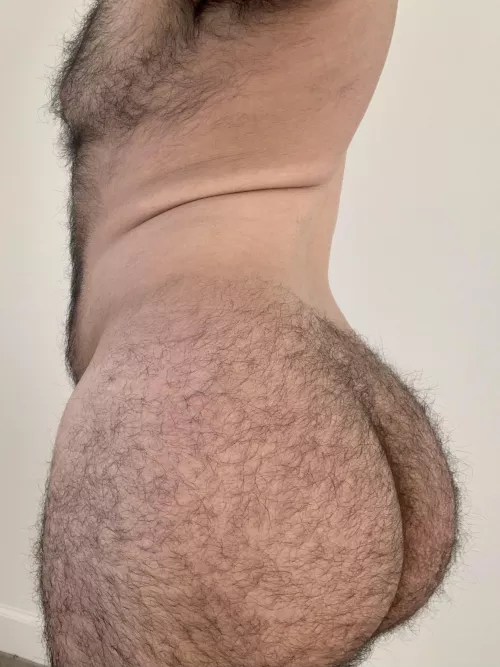 HAIRY MAN ASS.