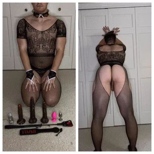 Here are the toys you ordered me to bring… yes, you may use me as you see fit