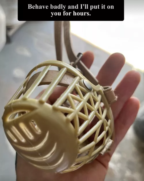 If you are not a good dog, there will be a punishment waiting for you