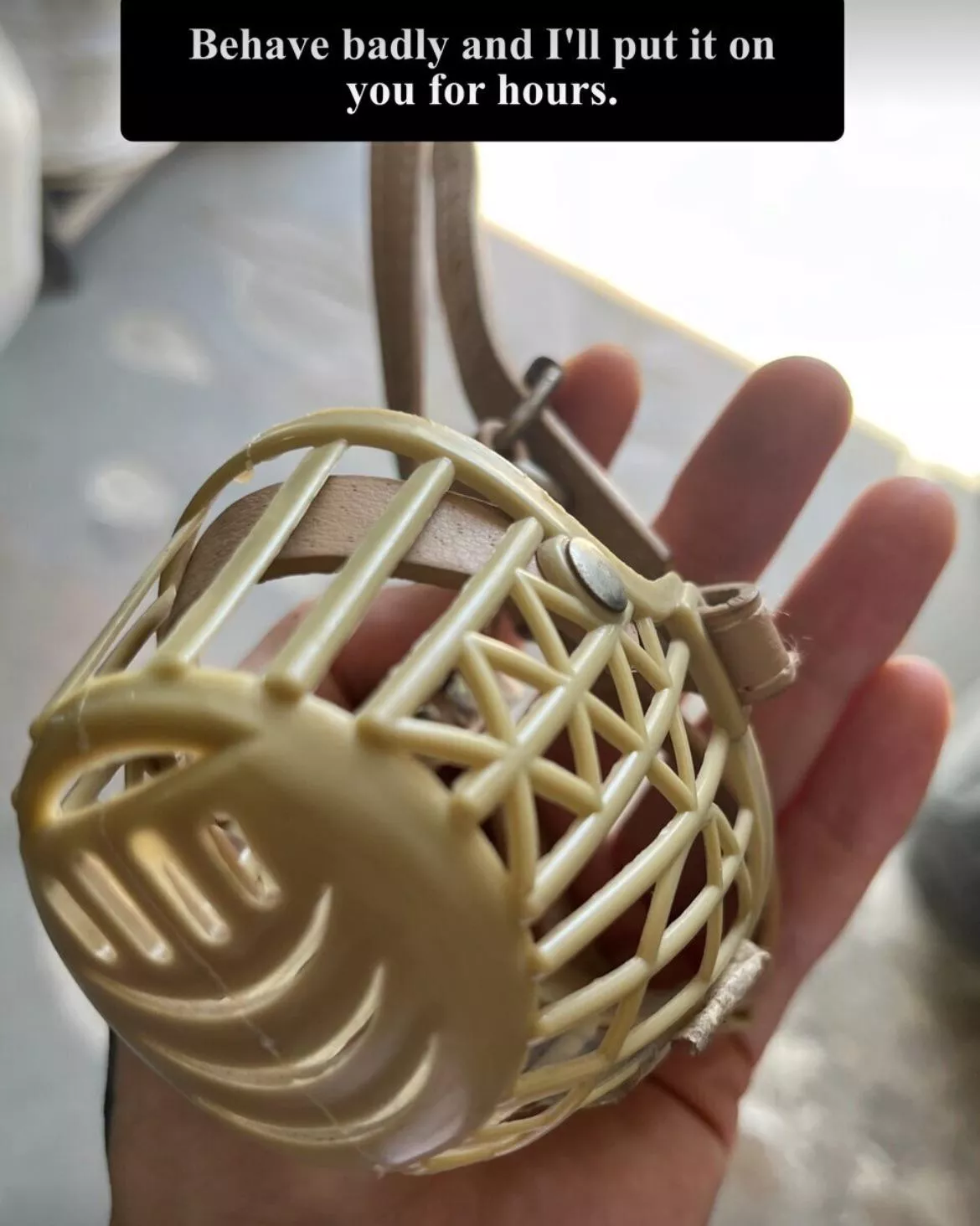 If you are not a good dog, there will be a punishment waiting for you