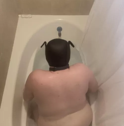 I’m not intimidated, you are 0~0🐾💕