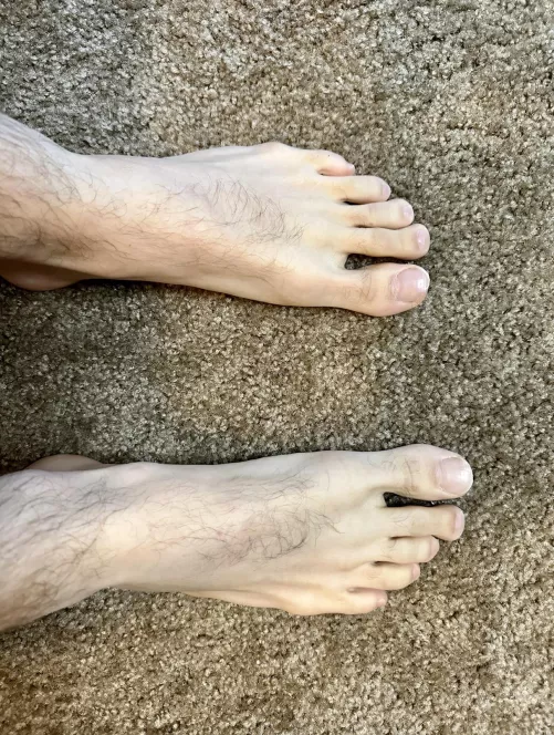 Is anyone into hairy feet? DMs are open if so!