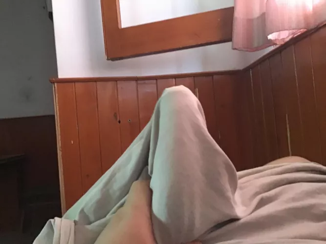 Levantando a la bestia