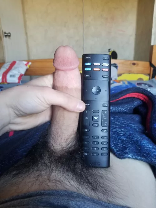 My cock next to my tv remote
