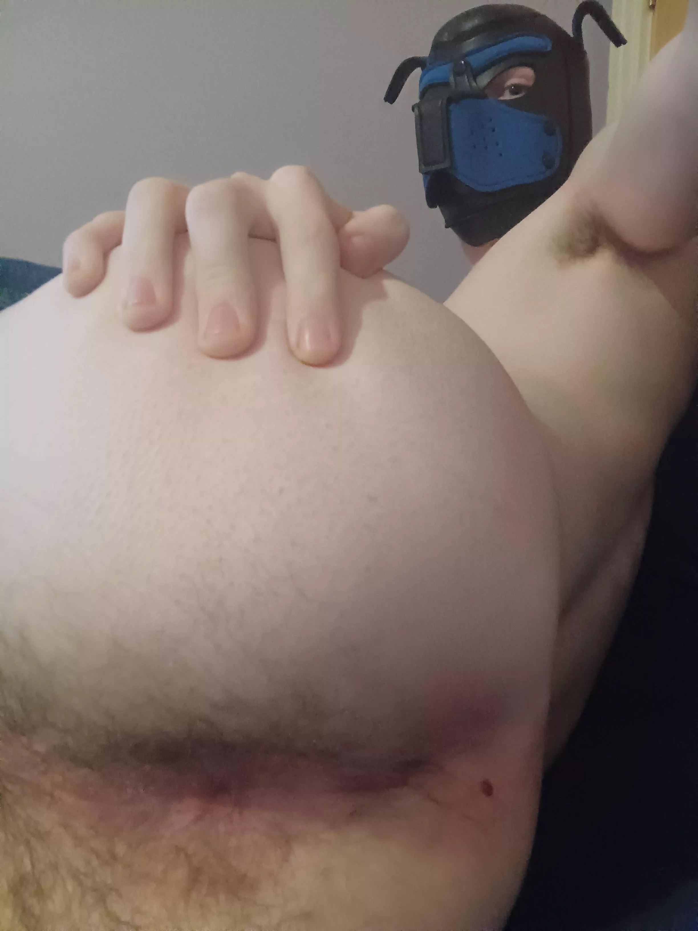 puppy needs a bone 😈