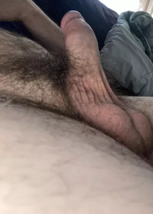 Resting gently n the bush