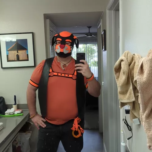 Sir Ashtar ready for pup mosh.