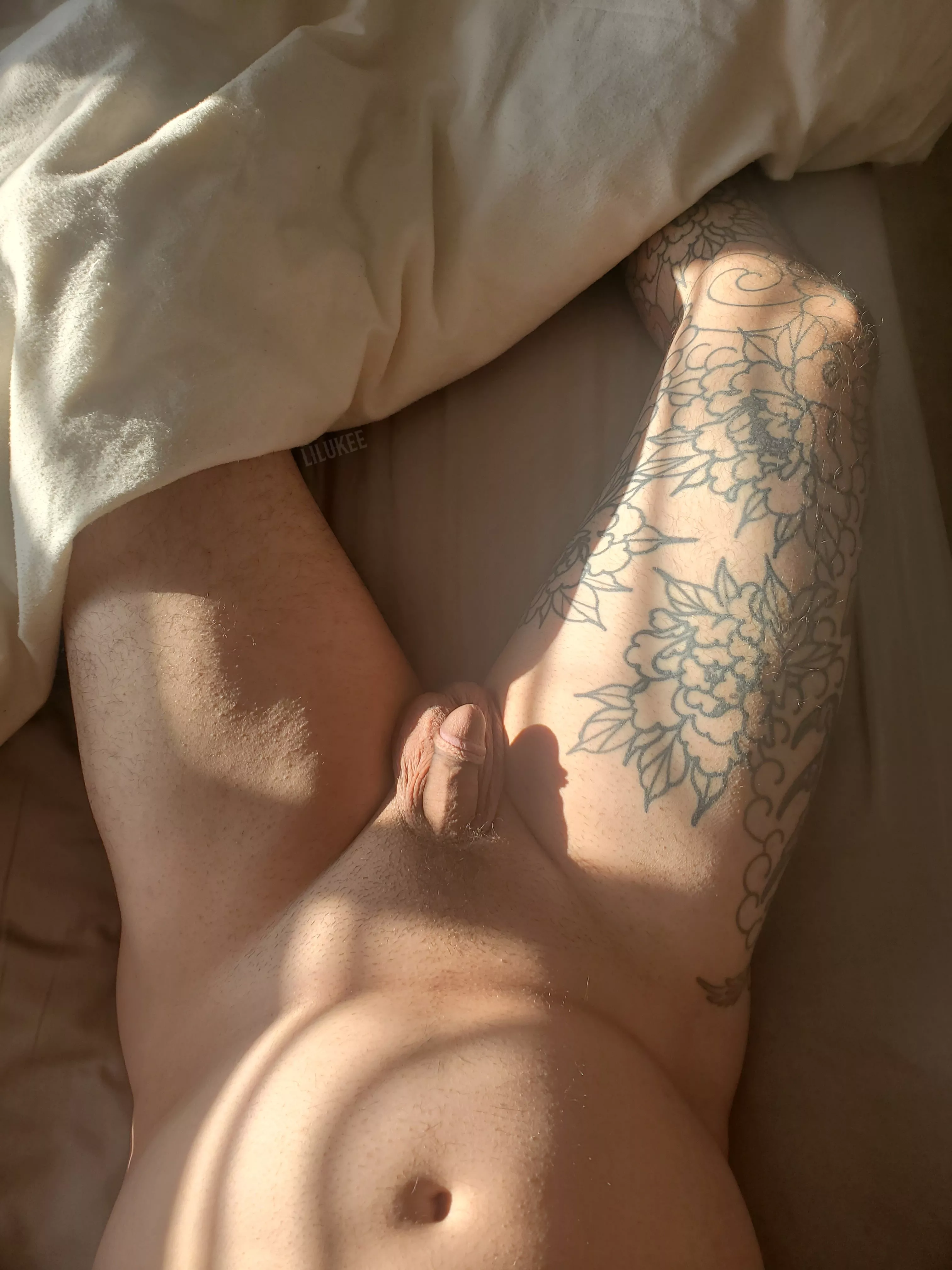 small cut cock in the morning 😪