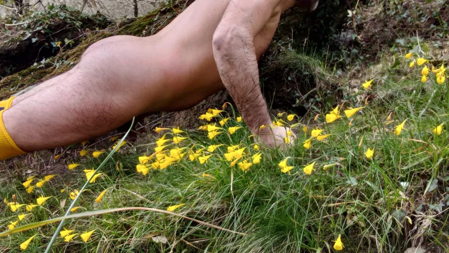 spring flowers in the river