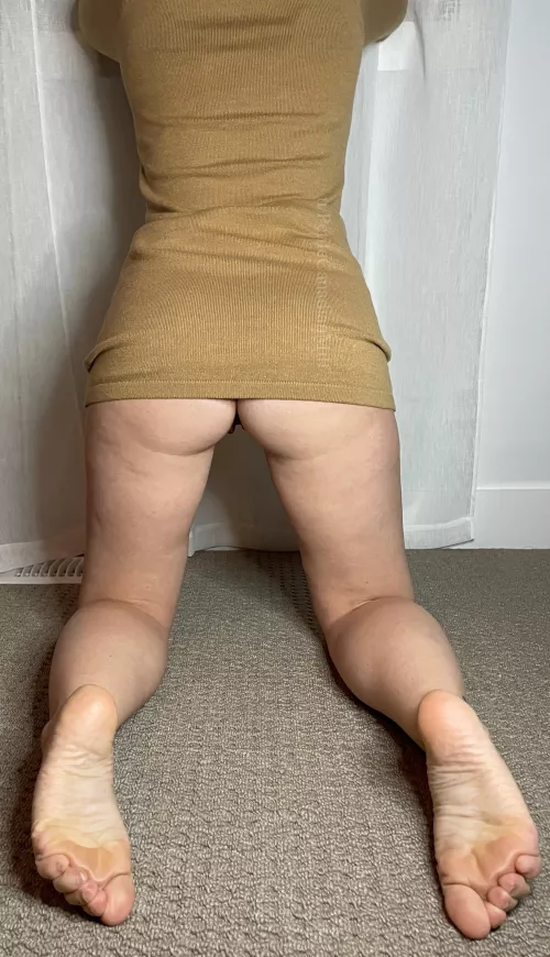Stare at my butt and feet