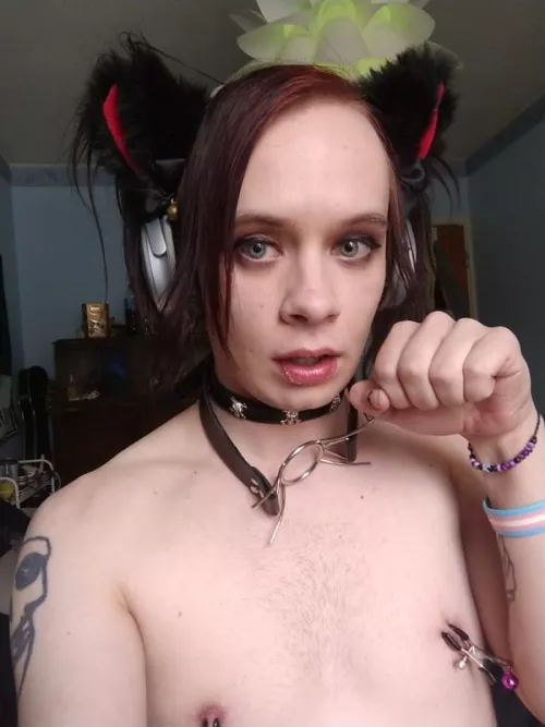 trans emo catgirl ready to be tied up