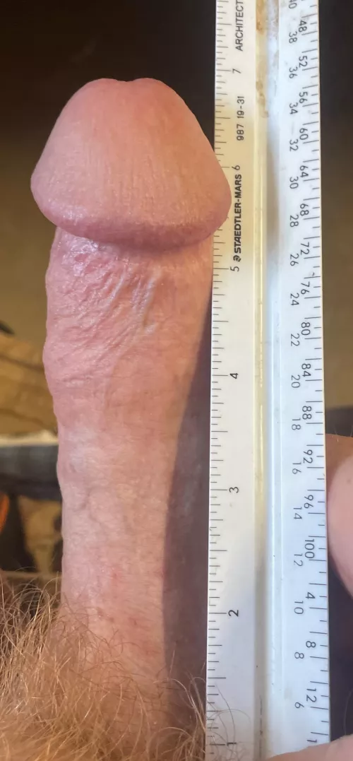 Trying to measure up!