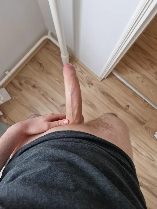 Wanna lick the tip so that it can slide back real good?