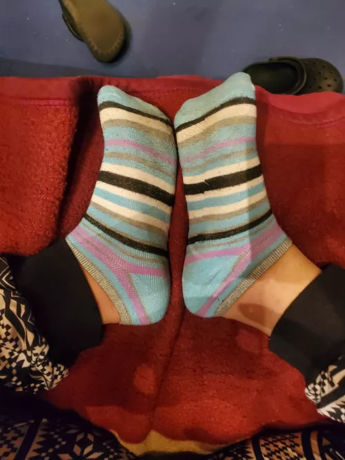 What do you think they smell like?