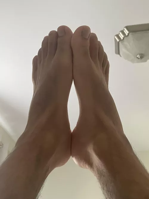 Would your put your dick or face here?