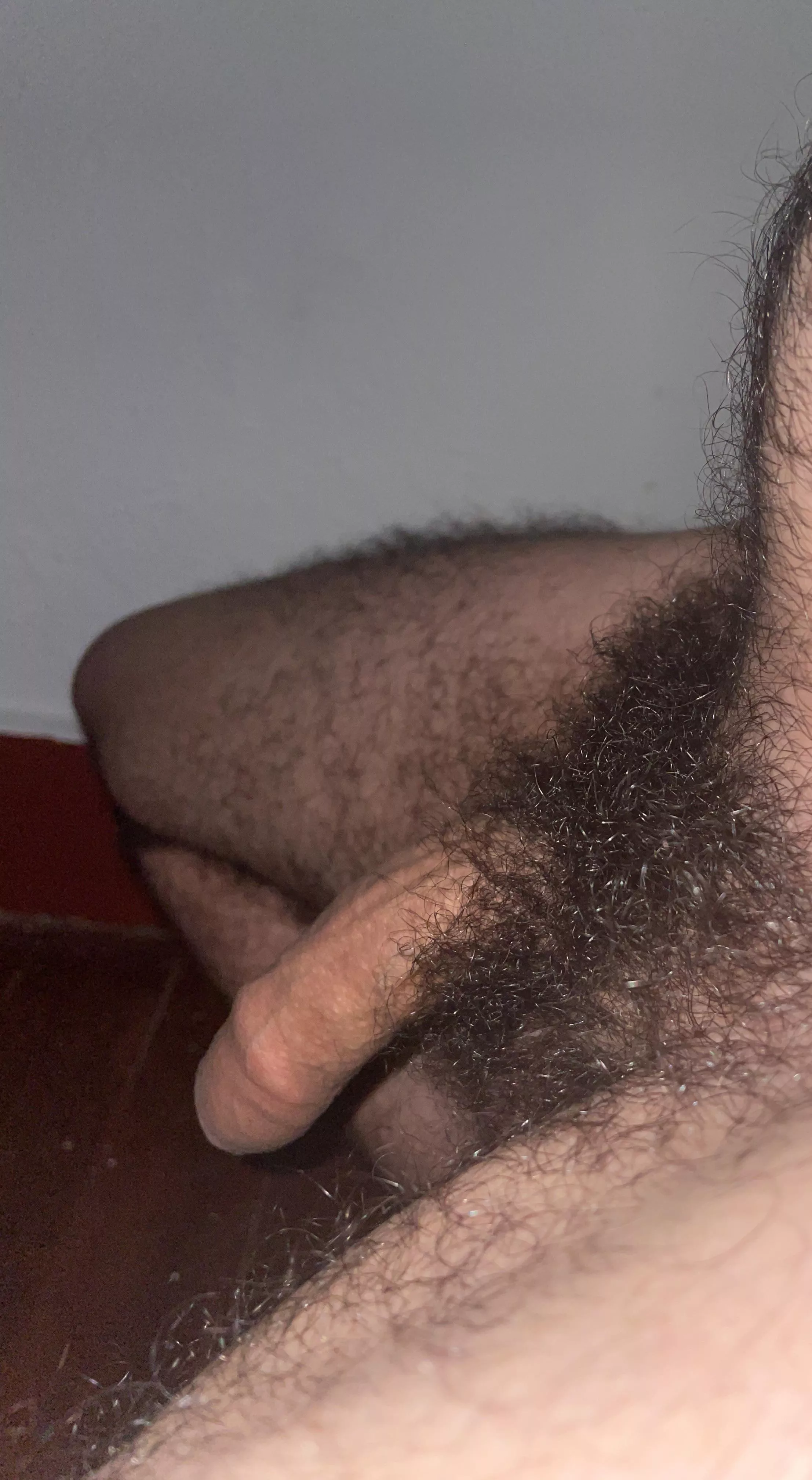 A little horny
