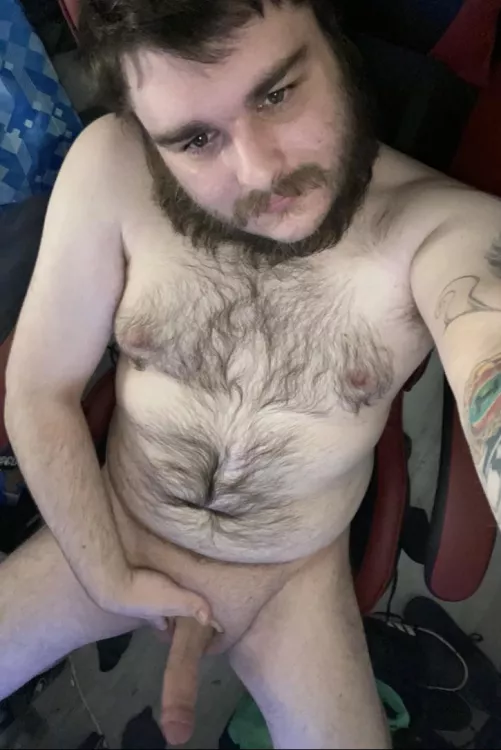 Any ladies wanna take a big hairy dudes virginity?