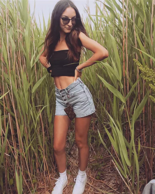 cornfield crop top