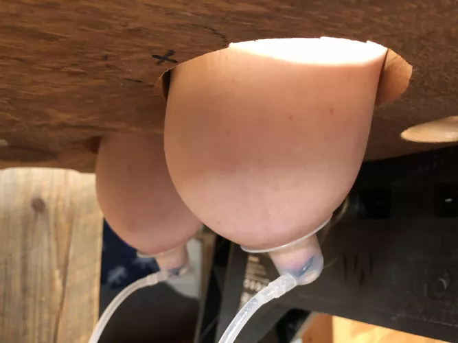 Hooked up to the milking table 🤤😵‍💫