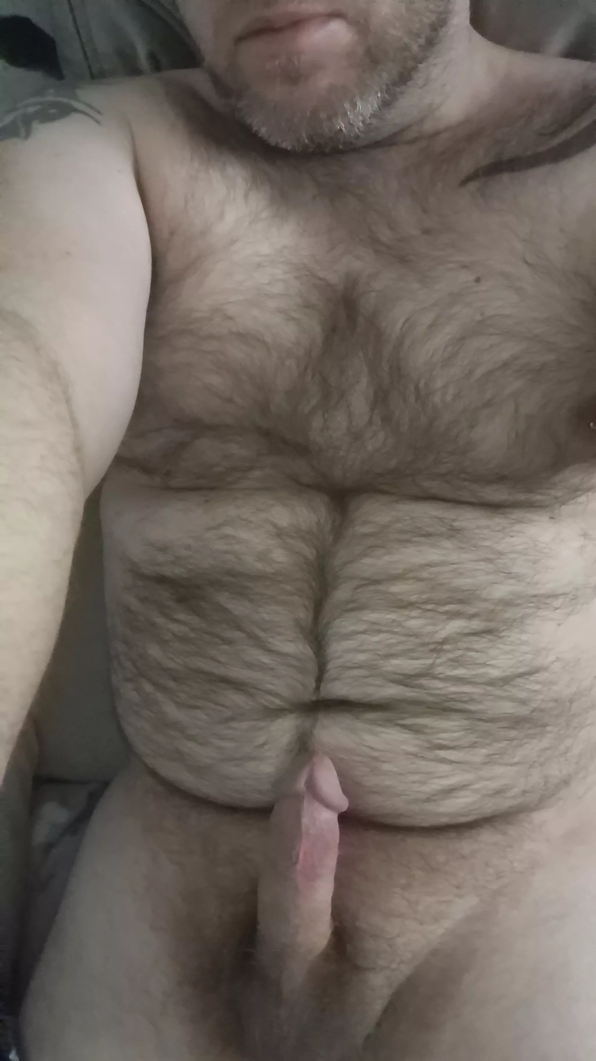 hope you like chubby and hairy...