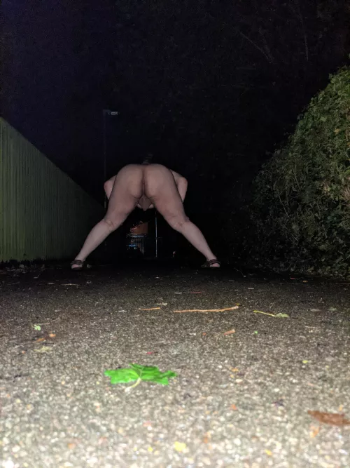 In an alleyway outside my neighbour's house