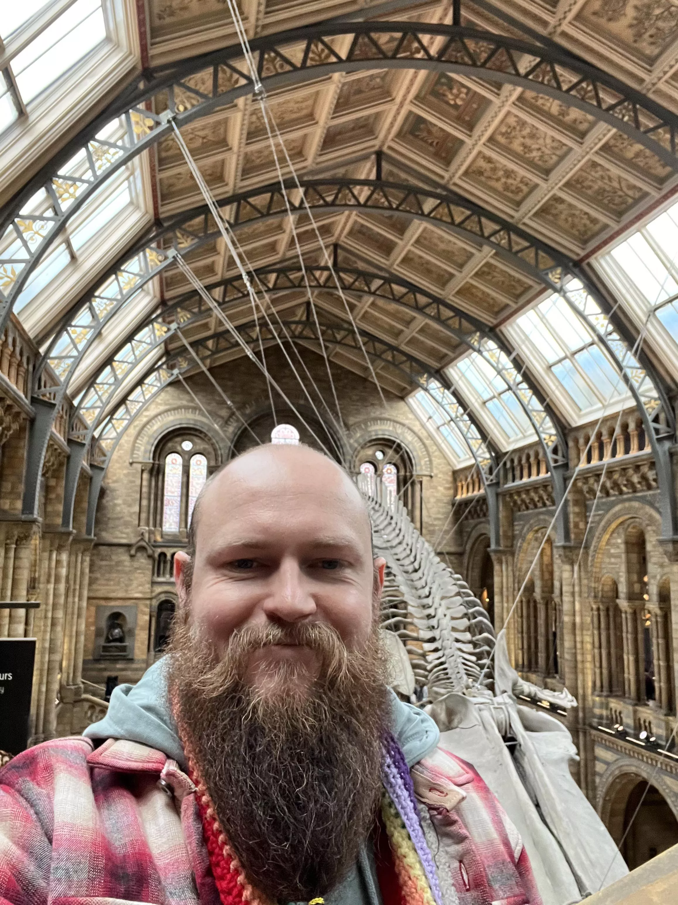 It’s late and I’m bored…let’s chat 🤷🏼‍♂️